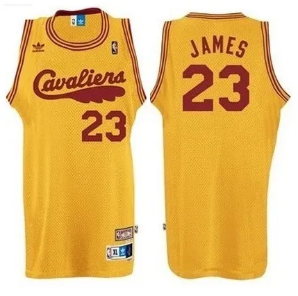 Lebron James Cleveland Cavaliers [retro]