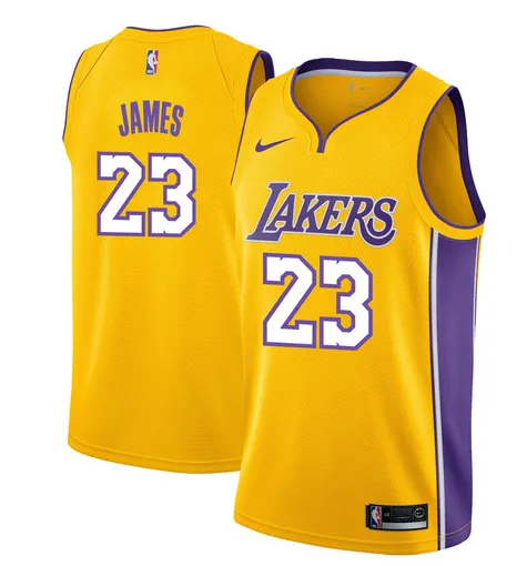 Lebron James Los Angeles Lakers - Icon