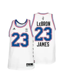 Lebron James All-star 2015