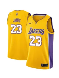 Lebron James Los Angeles Lakers - Icon