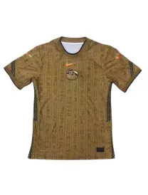 Maillot Egypte Gold Edition - Concept