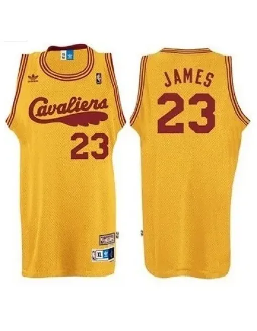 Lebron James Cleveland Cavaliers [retro]