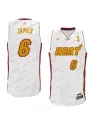 Lebron James Miami Heat [trophée]