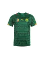 Maillot Cameroun Domicile 2014