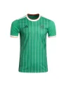 Maillot Celtic Irish Origins 2024