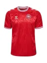 Maillot Danemark Domicile 2024