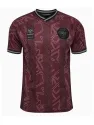 Maillot Danemark X Halo Édition Spéciale 2024