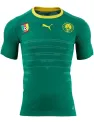 Maillot Domicile Cameroun 2016