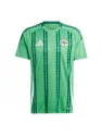 Maillot Irlande Du Nord Domicile 2024