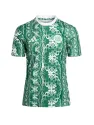 Maillot Pre-match Celtic 2024/25