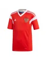 Maillot Russie Domicile 2018